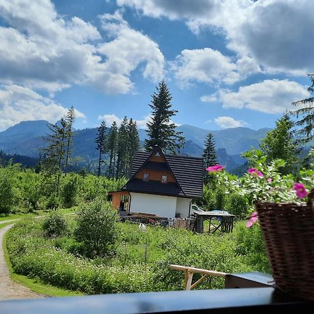 Goralska Chata Przy Dolinie Chocholowskiej Witów Esterno foto