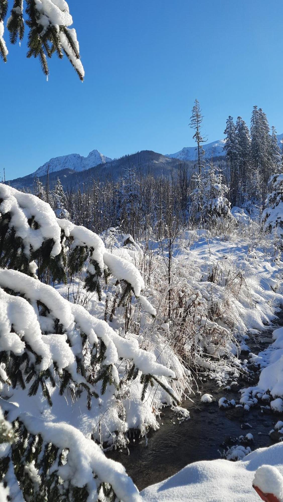Goralska Chata Przy Dolinie Chocholowskiej Witów Esterno foto