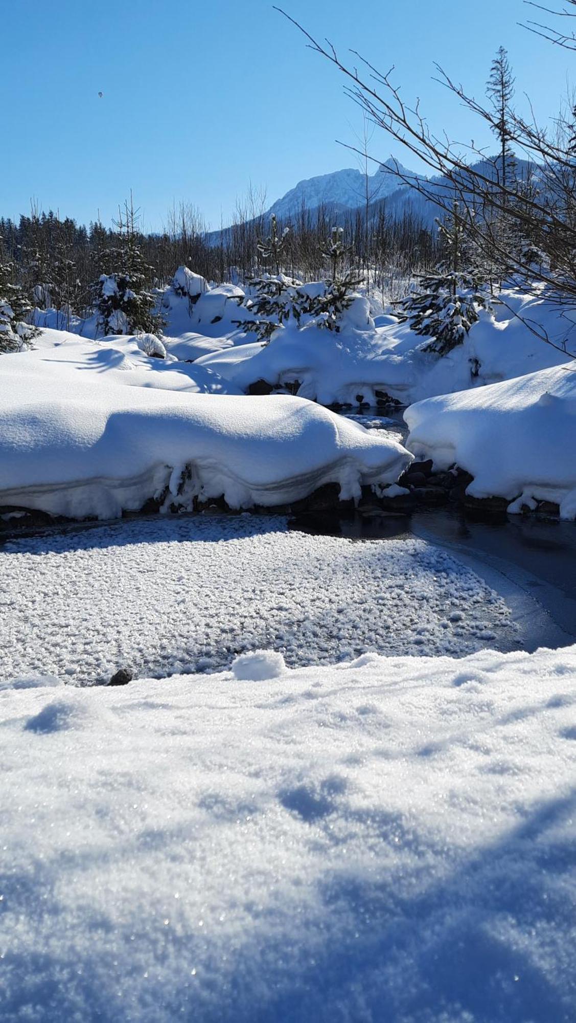 Goralska Chata Przy Dolinie Chocholowskiej Witów Esterno foto