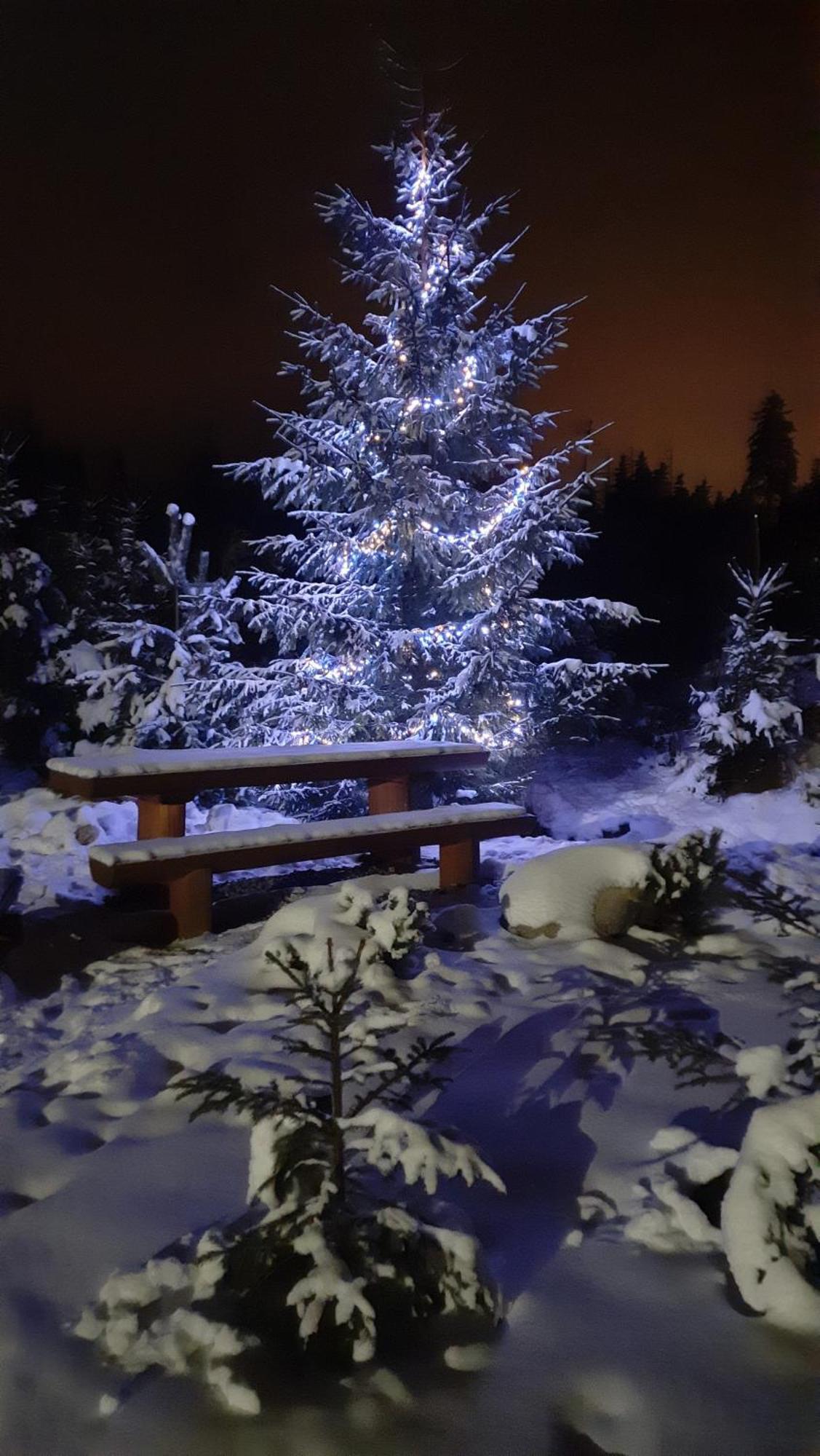 Goralska Chata Przy Dolinie Chocholowskiej Witów Esterno foto