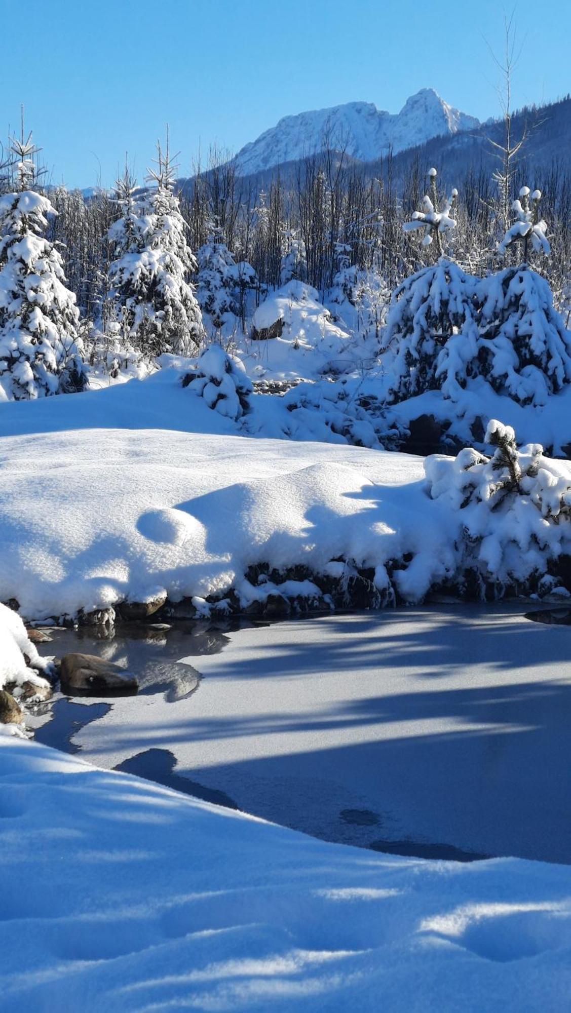 Goralska Chata Przy Dolinie Chocholowskiej Witów Esterno foto