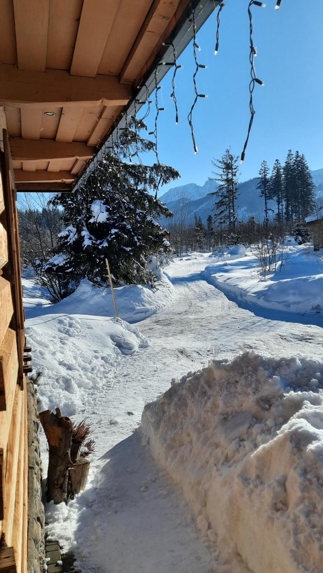 Goralska Chata Przy Dolinie Chocholowskiej Witów Esterno foto