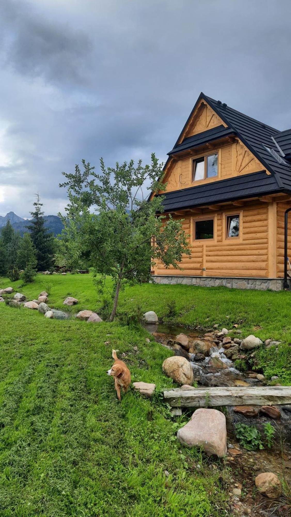 Goralska Chata Przy Dolinie Chocholowskiej Witów Esterno foto