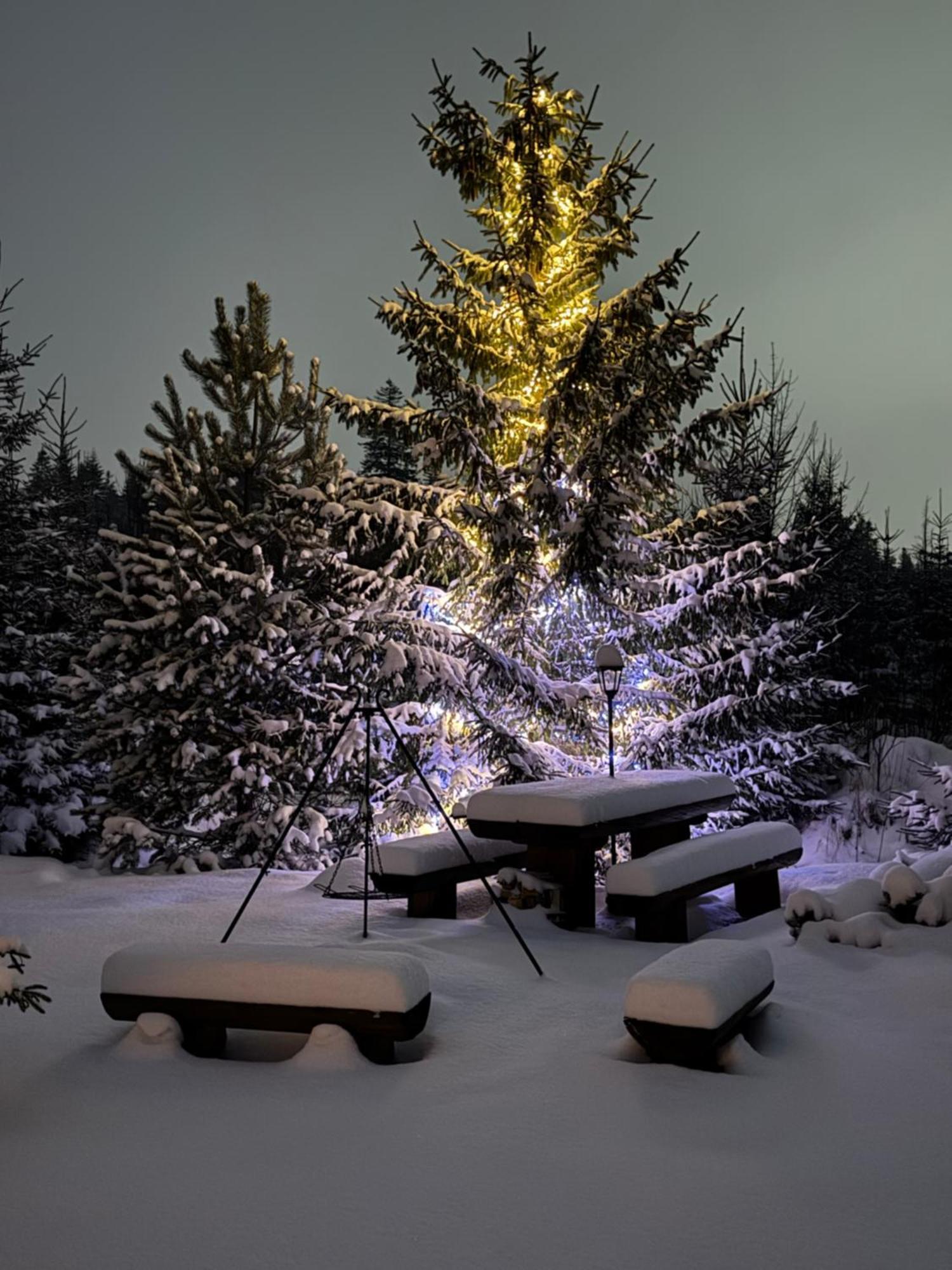 Goralska Chata Przy Dolinie Chocholowskiej Witów Esterno foto